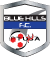 Blue Hills FC
