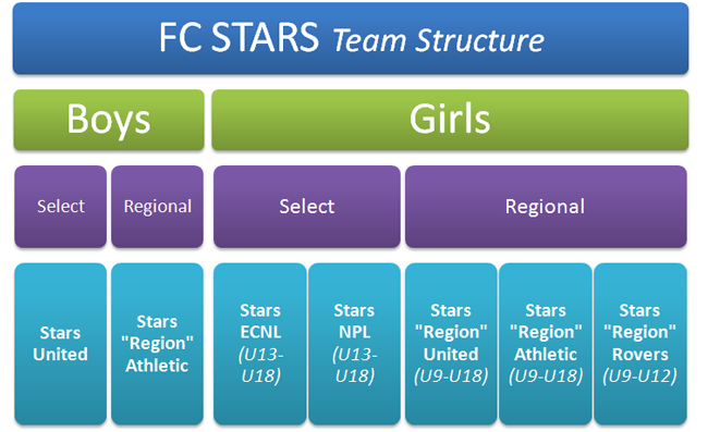 fc stars team structure