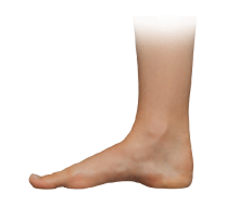 pronated ankle