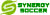 synergy soccer logo